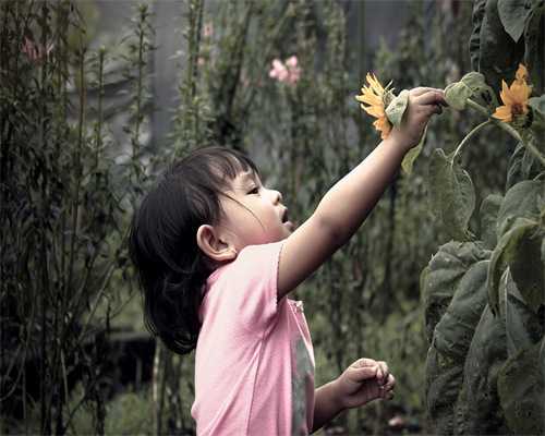 合肥正规供卵机构必须宝来喜助孕 
